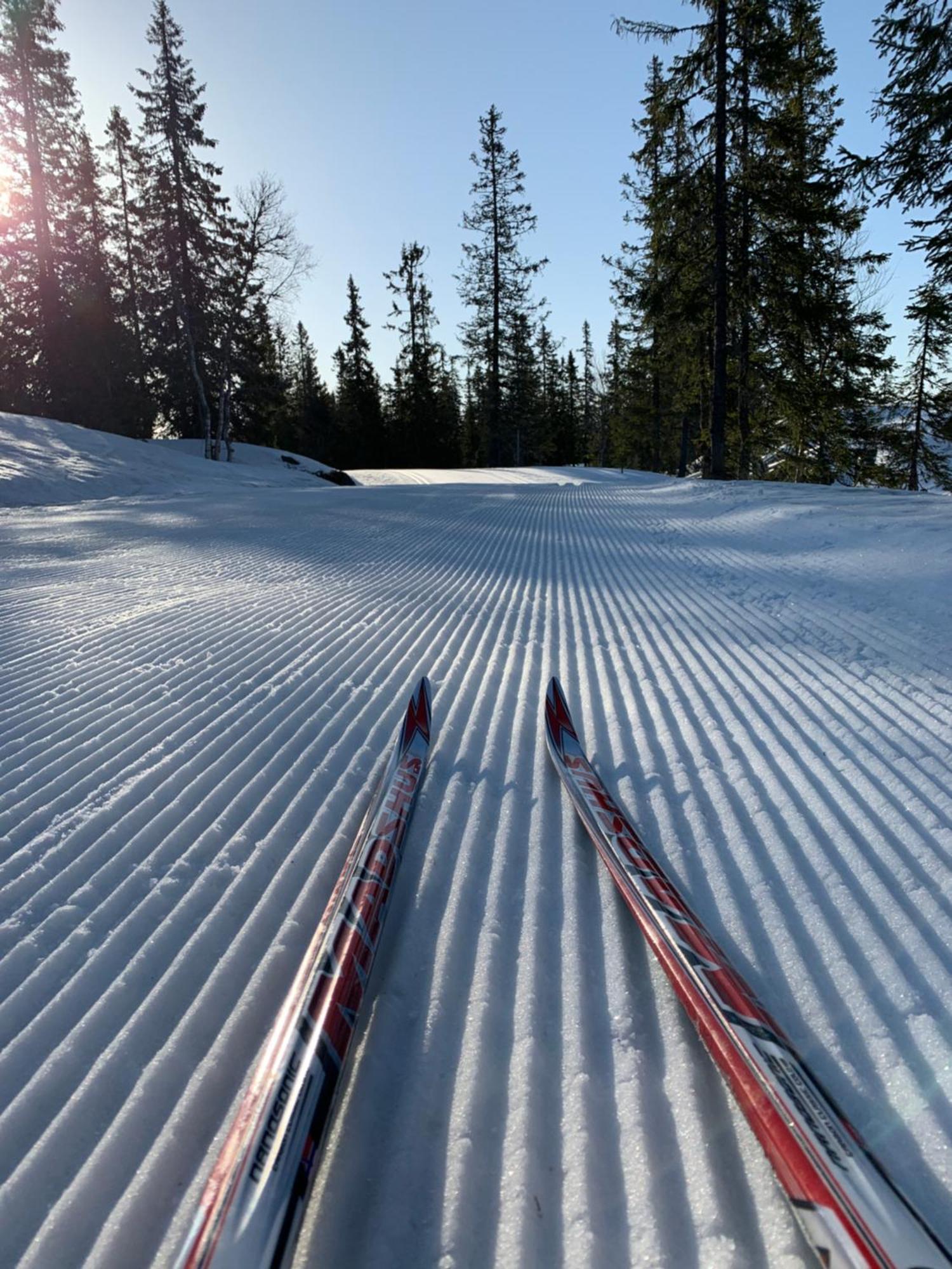 Sjusjoen シューショーエン ヒュトゥットライアヴィラ エクステリア 写真