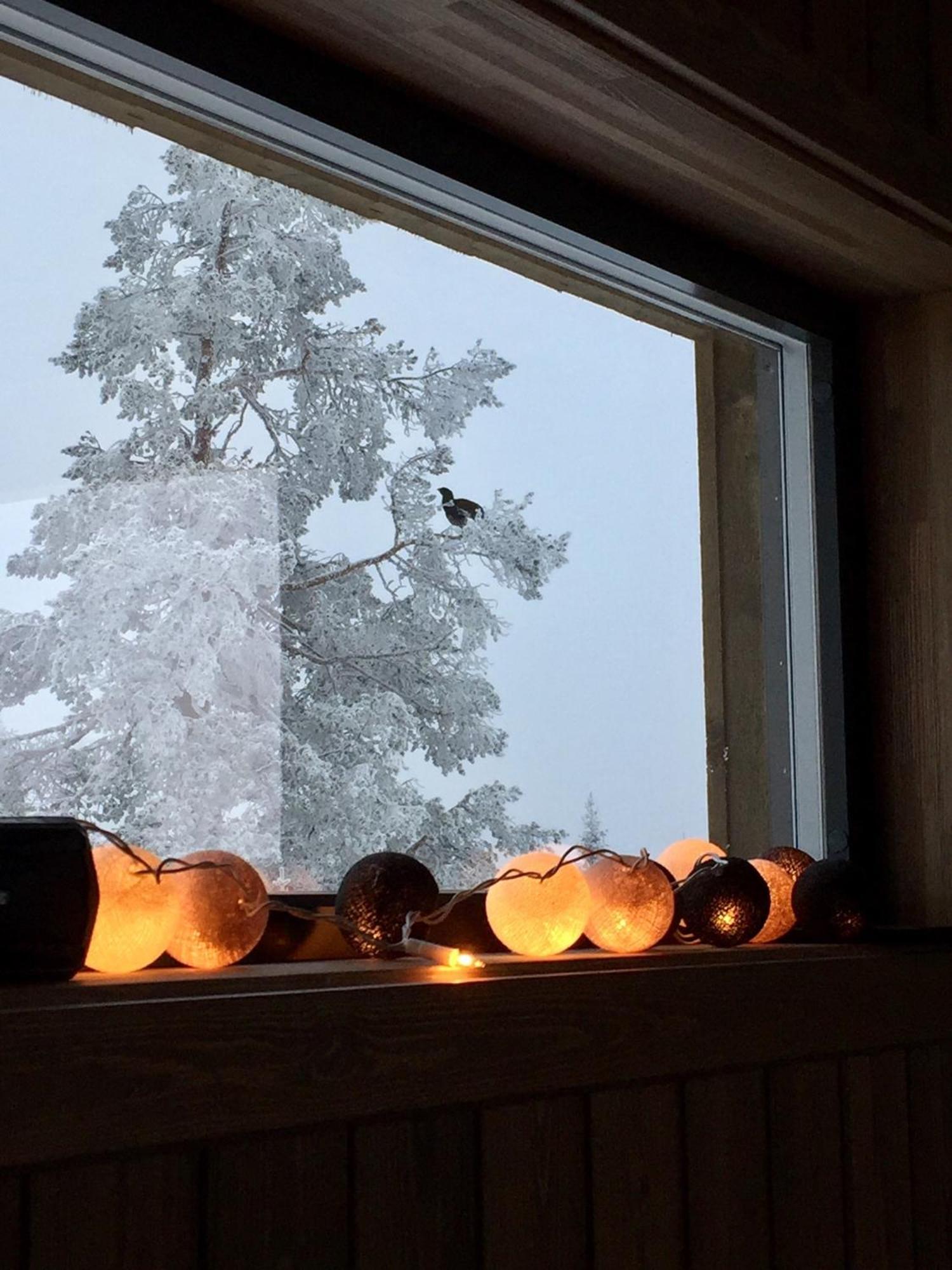 Sjusjoen シューショーエン ヒュトゥットライアヴィラ エクステリア 写真