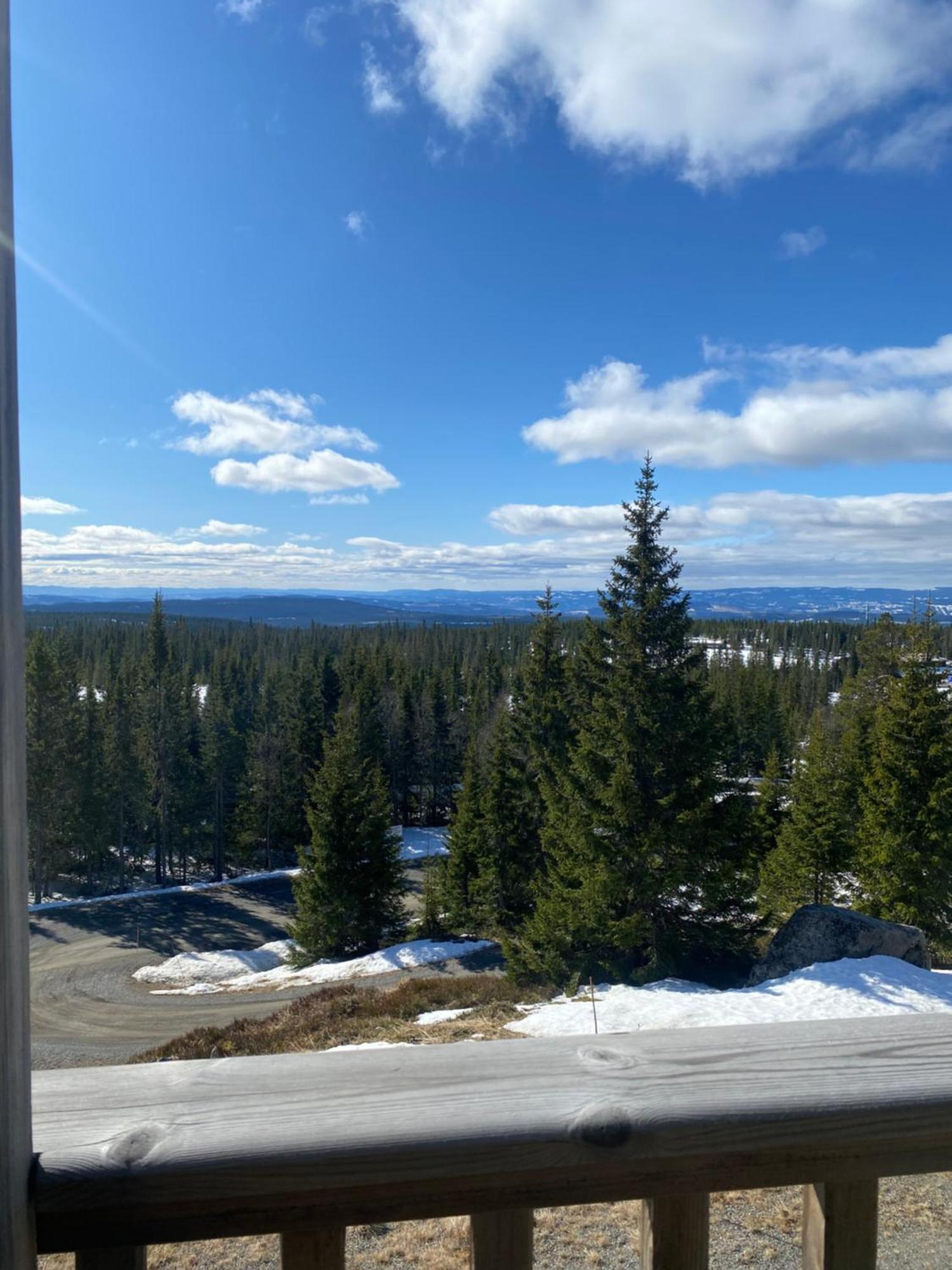 Sjusjoen シューショーエン ヒュトゥットライアヴィラ エクステリア 写真