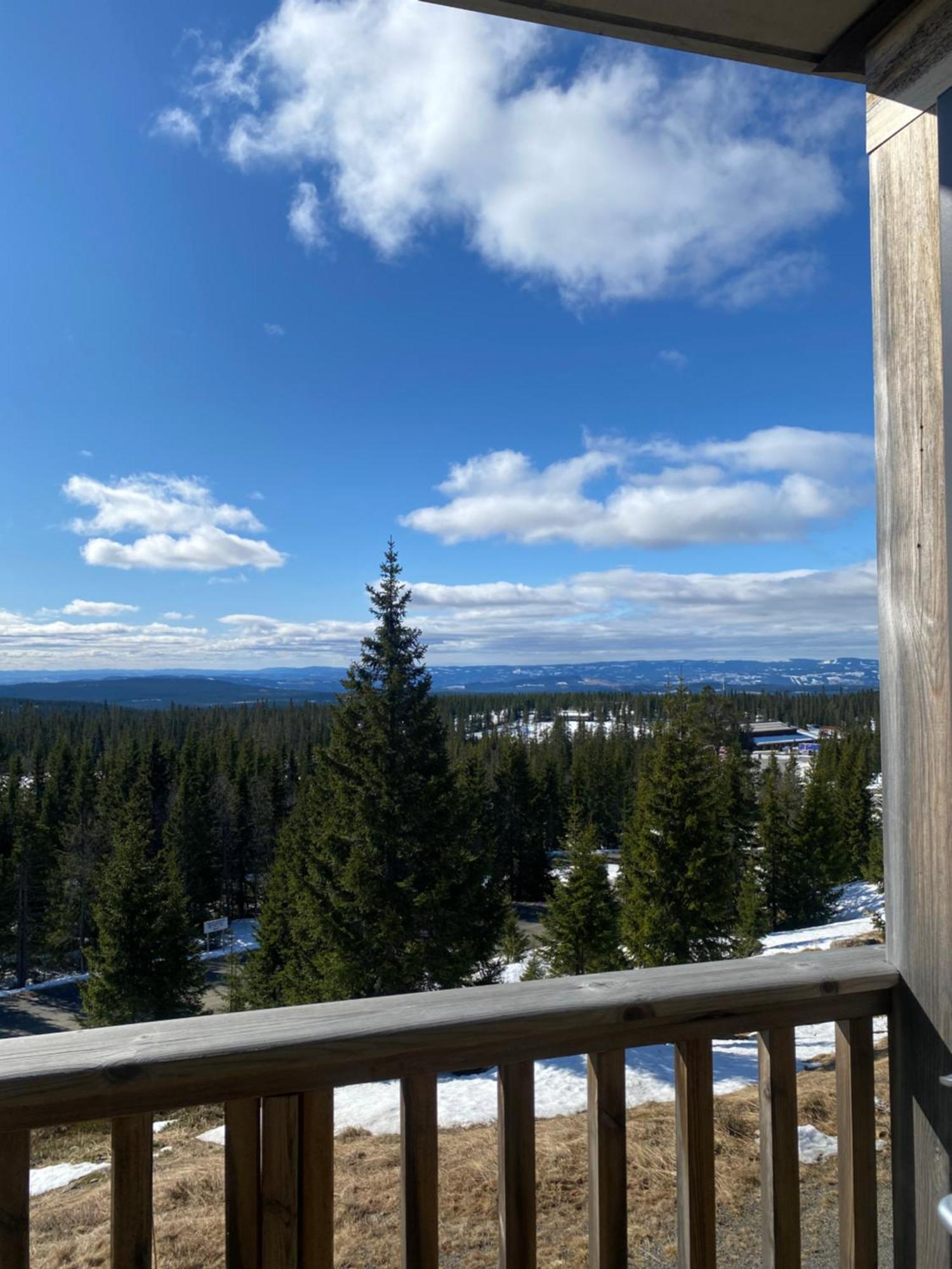 Sjusjoen シューショーエン ヒュトゥットライアヴィラ エクステリア 写真